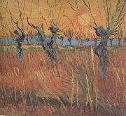 Vincent Van Gogh Willows at Sunset (nn04) china oil painting artist